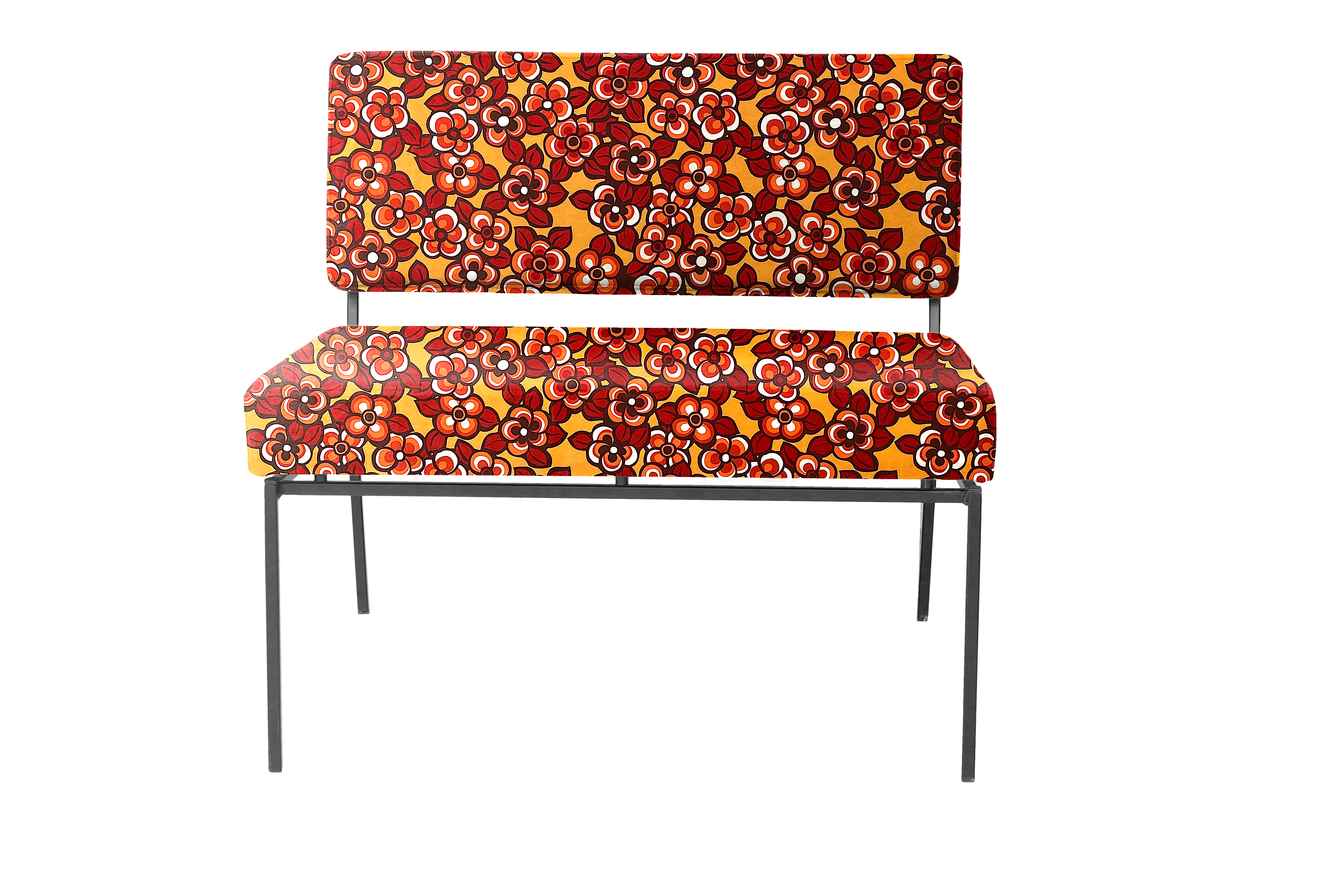 Daisy 2010 Pumpkin (1)